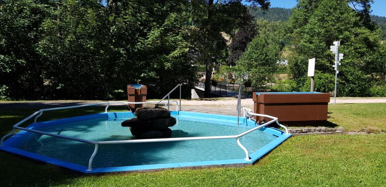 Ferienwohnung "Hirschlein" Im Schwarzwald Baiersbronn Exterior photo