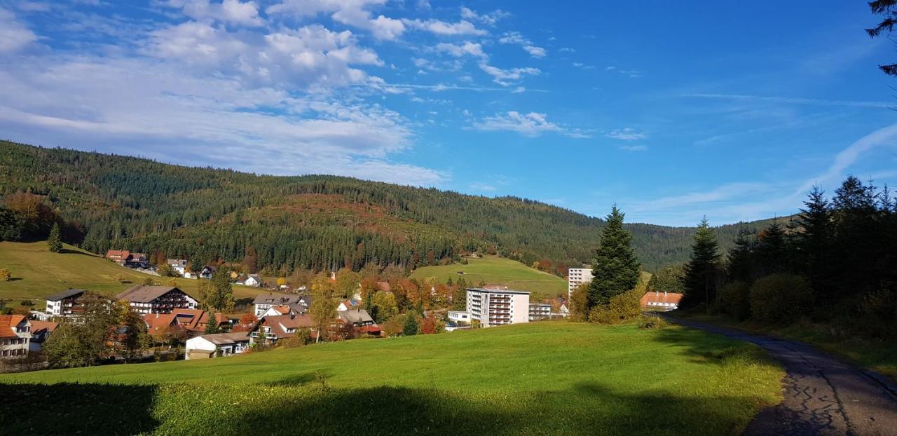 Ferienwohnung "Hirschlein" Im Schwarzwald Baiersbronn Exterior photo