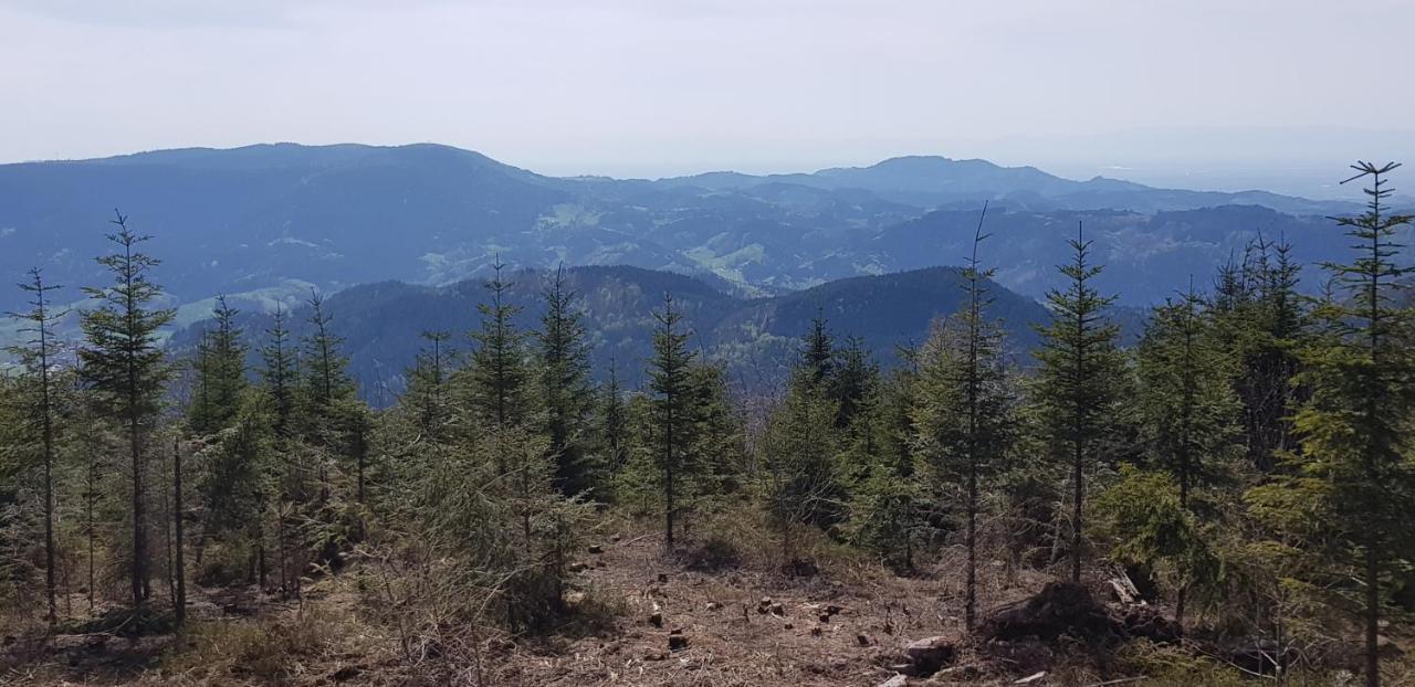 Ferienwohnung "Hirschlein" Im Schwarzwald Baiersbronn Exterior photo